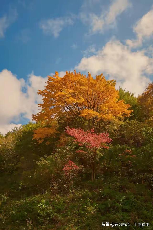 秋染山河