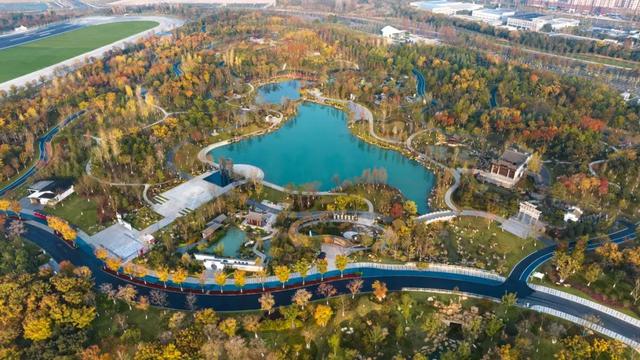 骆岗公园,传来喜讯!