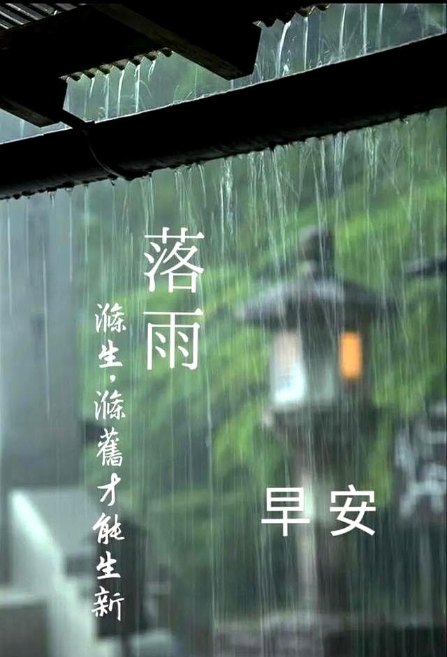 下雨天早上好图片最新，雨天早上好问候语温馨，大雨小雨皆祝福