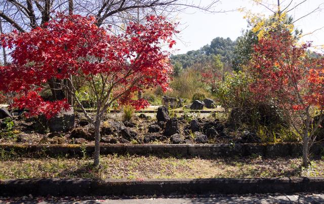 腾冲游之火山地质公园