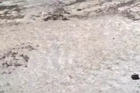 物业服务好与坏，大家来评说｜小区清雪不彻底腿摔骨折花数万元！物业只给免一年物业费图片