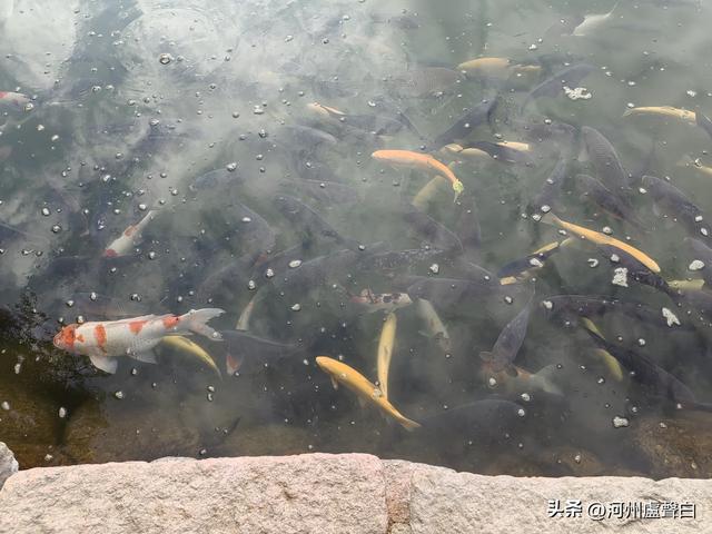 张掖*甘泉公园