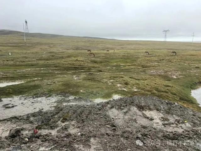 严学章可可西里的野性穿越,荡气回肠