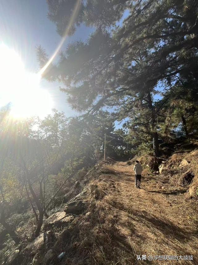 泰安岱岳区曹家庄隐佛崖打山泉水游记