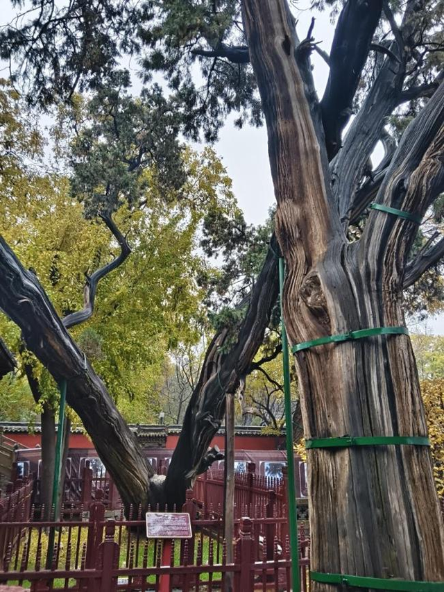 游遍山西，我们一路撒播世界语的种子