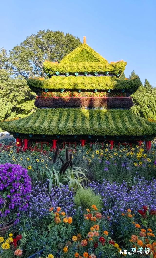 北京秋日漫游：五四大街-成办餐厅-北海公园