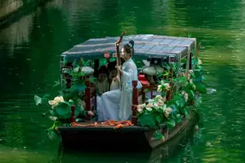 在苏州古城，定格夏日“荷”照！图片