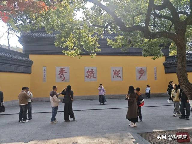 2025 杭州西湖 City Walk 留下足迹