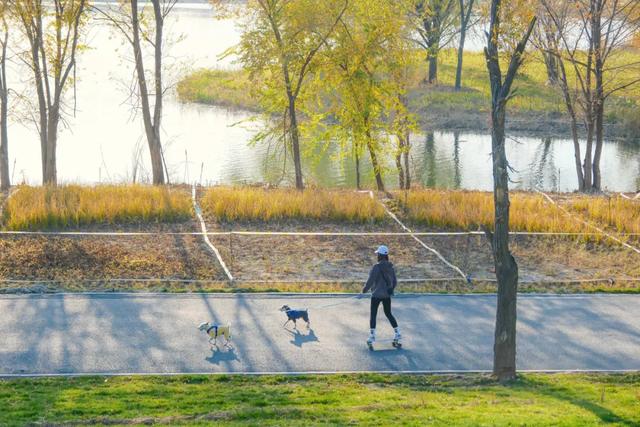 从群明湖畔到永定河集，冬日石景山的慢享闲游——