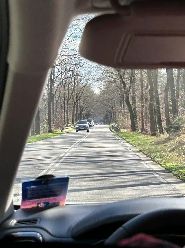 《 再见，德国 》