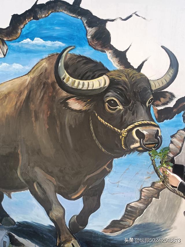 赛岐又一公园走起，快快来吧