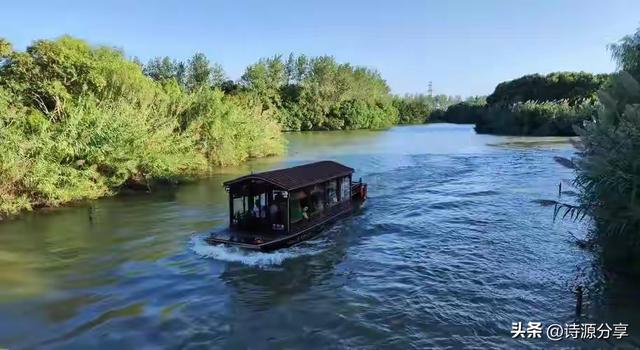 无名英雄:阿庆嫂被日寇撕裂成两段