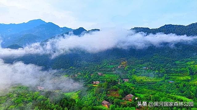 周末2h自驾消暑游，在黑河开启夏日清凉模式！