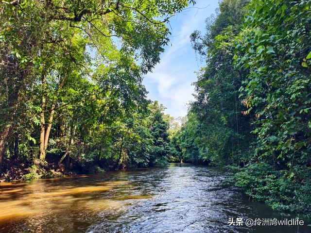 马来西亚(29)砂拉越州③姆鲁山清水洞·风洞