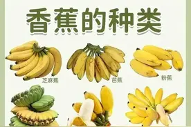 香蕉的种类有多少？今天分享给你们！图片
