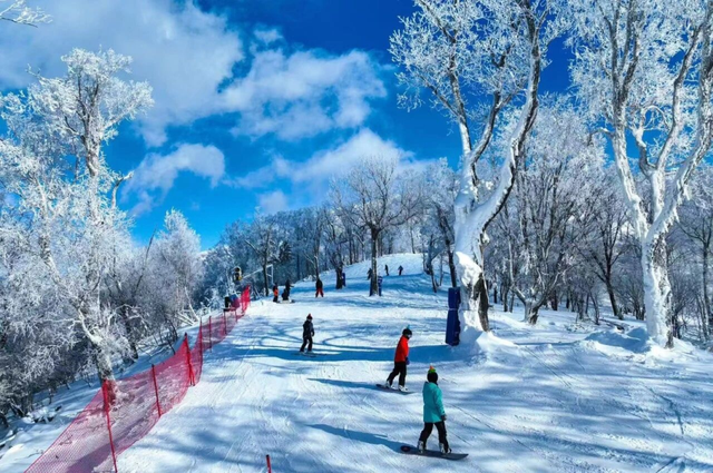 解锁吉林冰雪假期！滑雪场游玩，安全先行