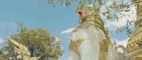 被位置耽误！云南这座21°C春日小城，三面与缅甸接壤，比版纳惬意