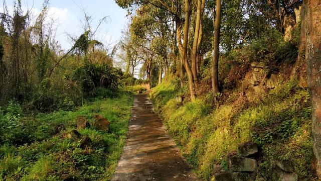 重庆北碚闹市竟藏有一座古寨，设有瓮城，被网友称为"重庆吴哥窟"