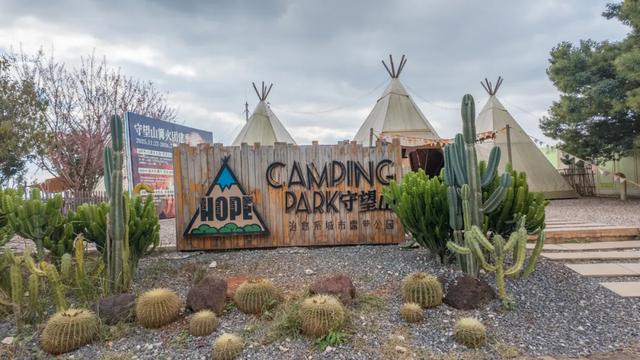 昆明市区冬樱花树下连猪都能自由奔跑的世外桃源