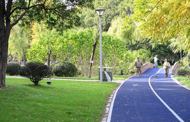 这样的张家港,我“All in”了!