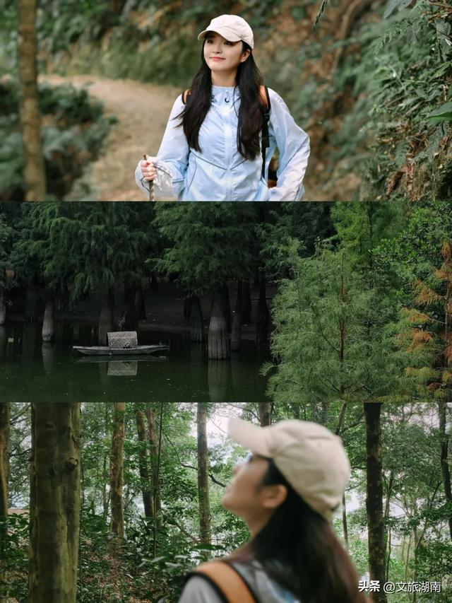 全部免费!解锁长沙10条山林徒步路线