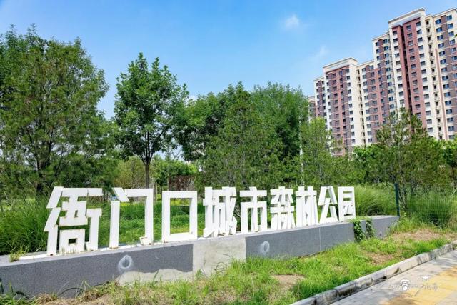 前人栽树后人乘凉！这儿还是您熟悉的衙门口吗？