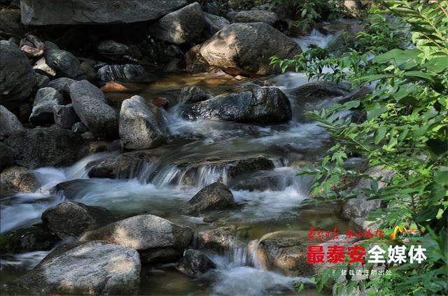 青绿泰山 清凉一夏丨夏天的正确打开方式！泰山彩石溪承包你的清凉自由