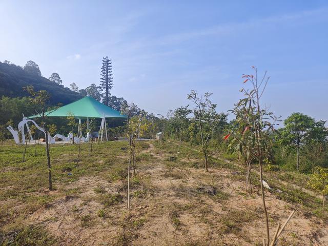 塘朗山郊野公园火车道口与绿平二路段，爬坡酸爽，骑友的天堂