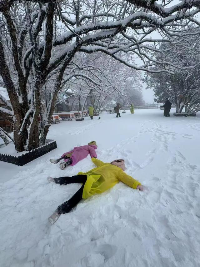 汉中各大景区银装素裹！快来共赴2025年第一场冰雪之约 →