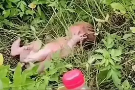 好可怜，福建遗弃男婴全身赤裸，爬满蚂蚁和苍蝇，肚脐带还连着！图片