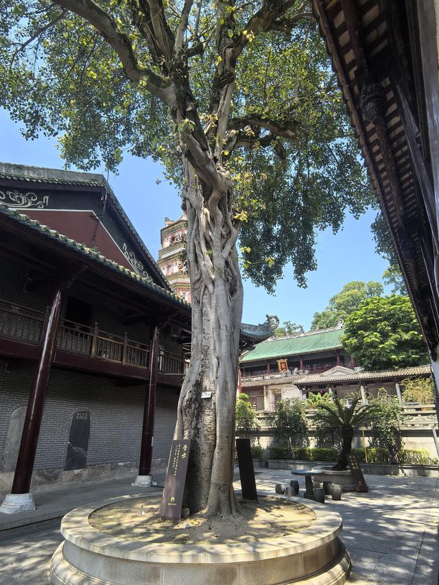 广东韶关南华寺游记