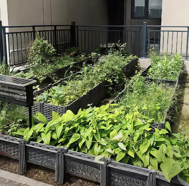 五象湖「最强景观」火了,公告成了废纸