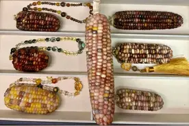 有趣青年 | 万物皆可“盘”！“文玩玉米”成年轻人“新宠”图片