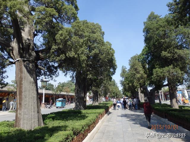 孔林关林松，揖向轩辕柏