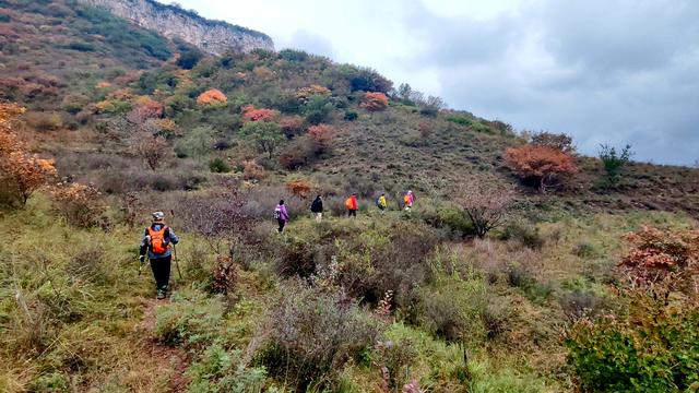 雾锁风挡山，红叶引客来
