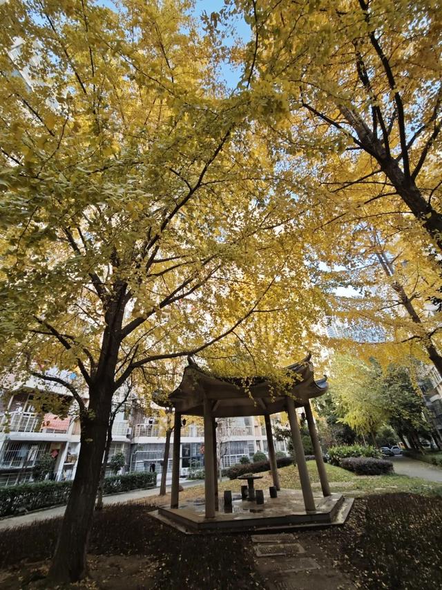 在汉阳的秋天，捡出一个灵感宝库