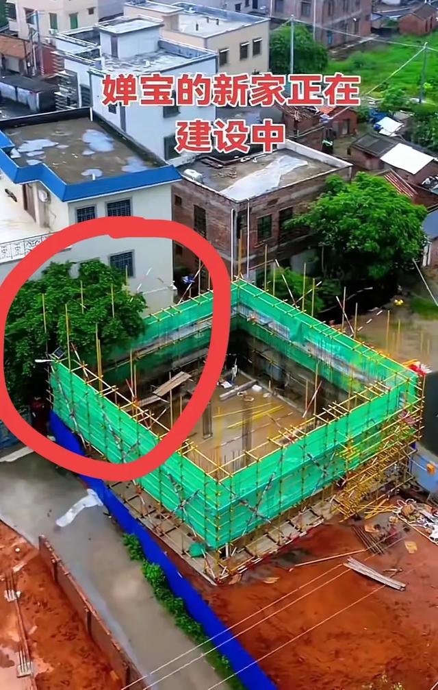 全红婵家房子，因为邻居家的树，可能要停工，全爸称要积极沟通
