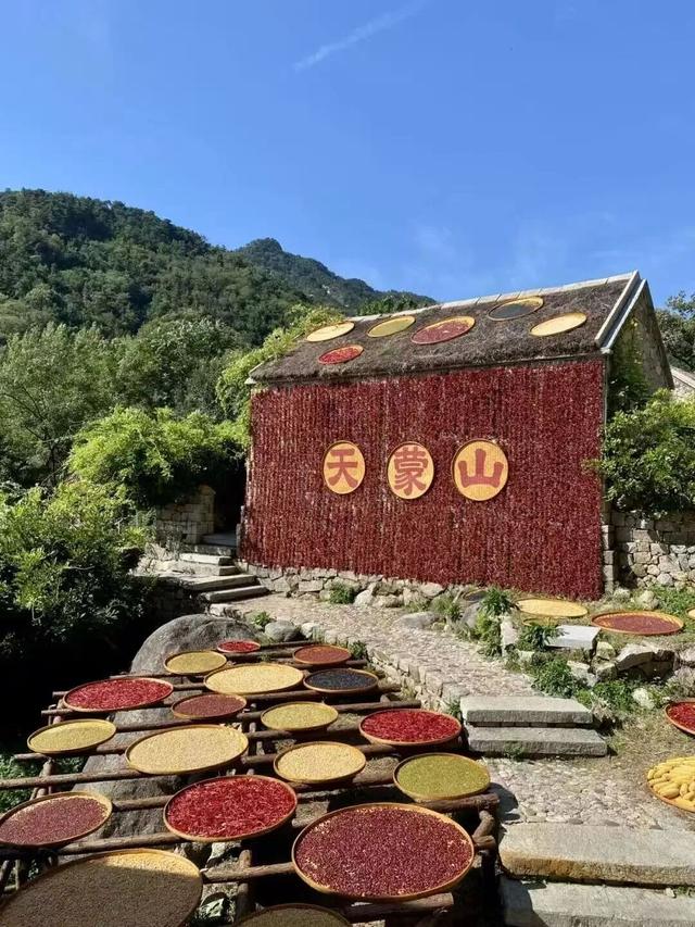 「沂蒙」叠翠映红黄——跟着色彩游临沂