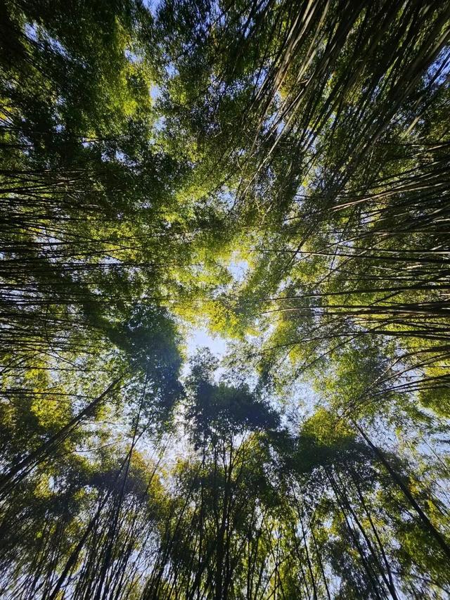 秋假来了！“不知道去哪儿耍”，来新津就对了