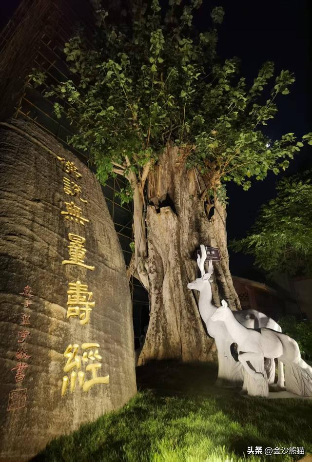 从厦门到漳浦诞生此行第一胎 品美味河豚 双龙连续第三年千里双骑9