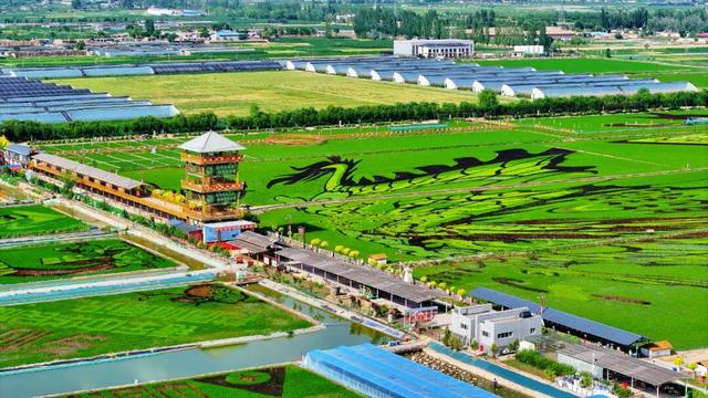 大美银川让生活更美好！