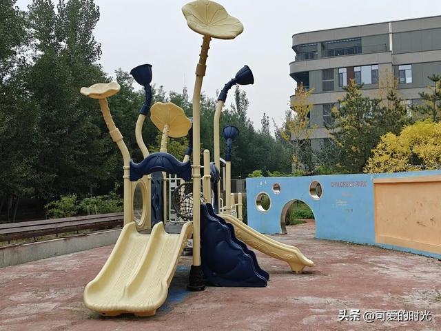 寻趣石家庄——光华路上的绿化带