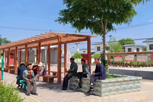 洋芋开花赛牡丹