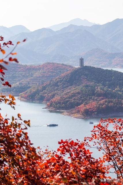 Deepseek和百度AI共同推荐北京红叶区：到北京旅游至少要去三个。