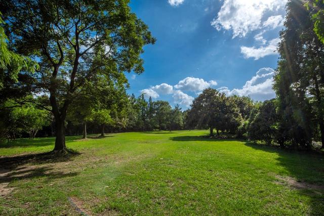 上海值得去的6个公园推荐！全部免费，好看又好玩！你都去过几个
