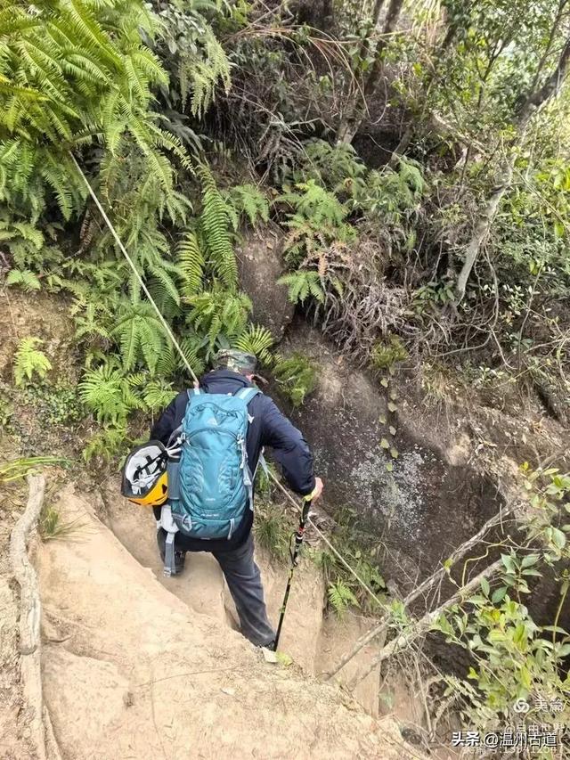 一步一景,奇石不断!温州这处奇石纷呈的的免费景区你可去过?