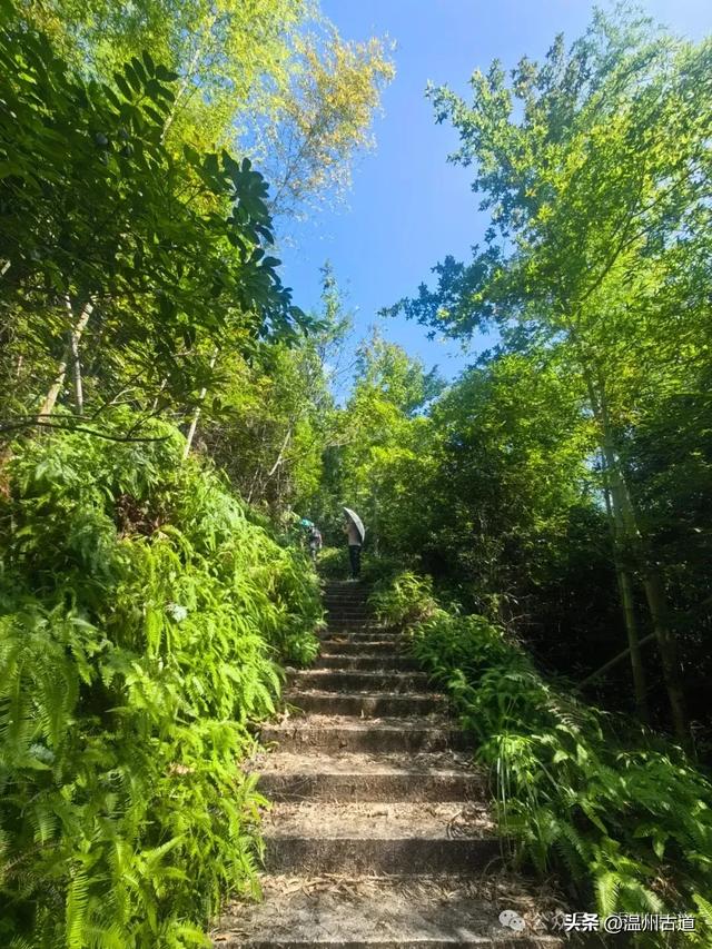 温州这里相传曾是仙人王子晋吹箫憩息之地,风光奇绝值得一去!