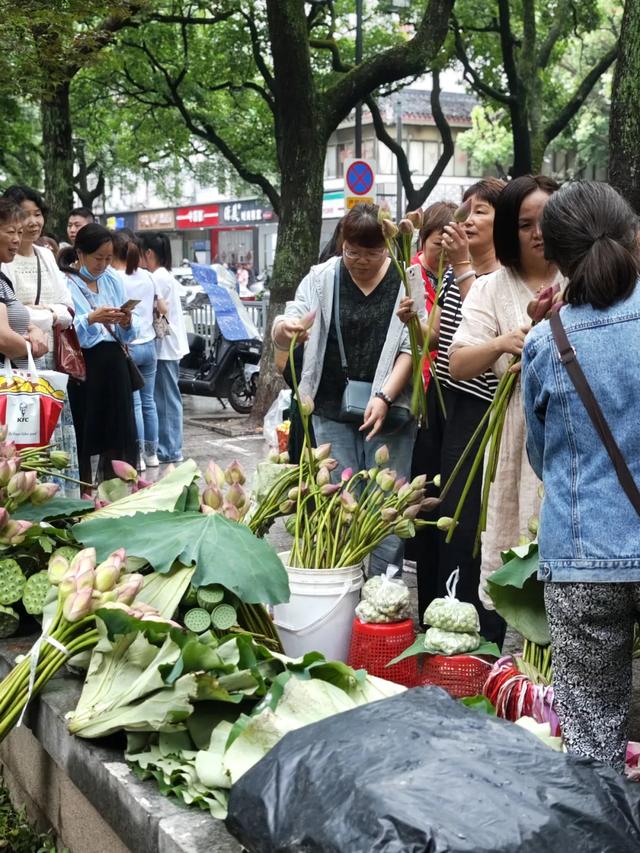 苏州这个市集，火上了央视！
