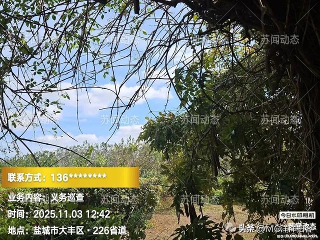 大丰人民路"寿园"：荒了里子，丢了面子，有关领导岀来看一看！