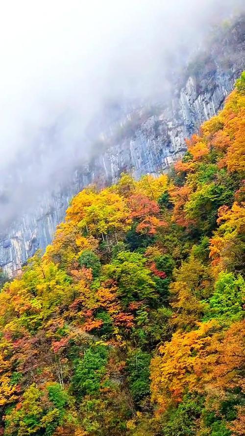 散文｜｜秋光漫旅：在层林尽染处拾撷岁月清欢